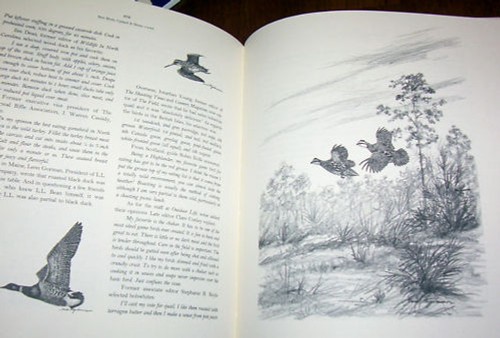 BEST BIRDS Upland Bird Hunting Shore Birds Hunter Gamebirds Game Bird Book NEW - Picture 2 of 2