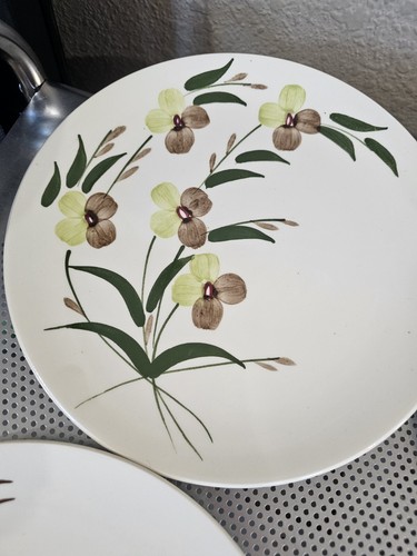Blue Ridge Southern Potteries Vintage Set Of 4 Dinner Plates Floral 9.5" - Picture 2 of 7