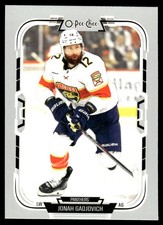 2025-26 O-Pee-Chee #407 Jonah Gadjovich Florida Panthers Hockey Card