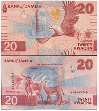 Zambia 20 Kwacha 2024 2025 P 63 UNC New Banknote