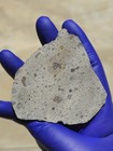 NWA 12905 Howardite Meteorite 27.233g Full Slice | Vesta Achondrite | COA — photo 8