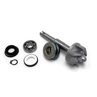 Honda NES Chiocciola (KF03) 150 Reparatursatz Wasserpumpe 2000-2006