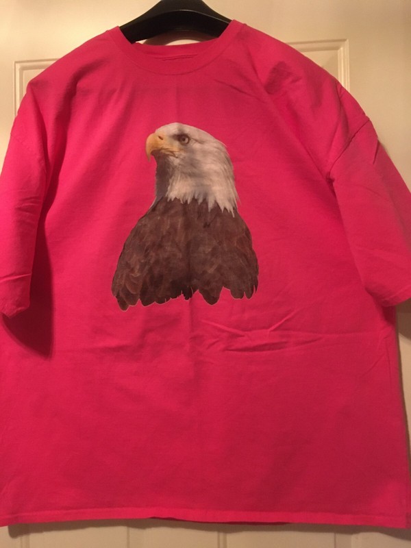 Unisex T Shirt Hanes "Eagle" Pink 4XL Crew neck Short sleeve Cotton