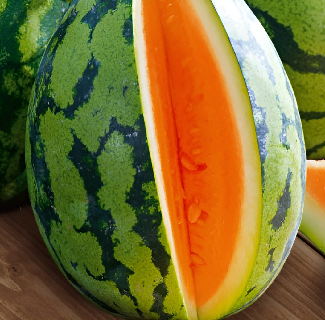 35 Heirloom Tendersweet Orange Watermelon Seeds - HUGE 30-35LB Super Sweet Melon