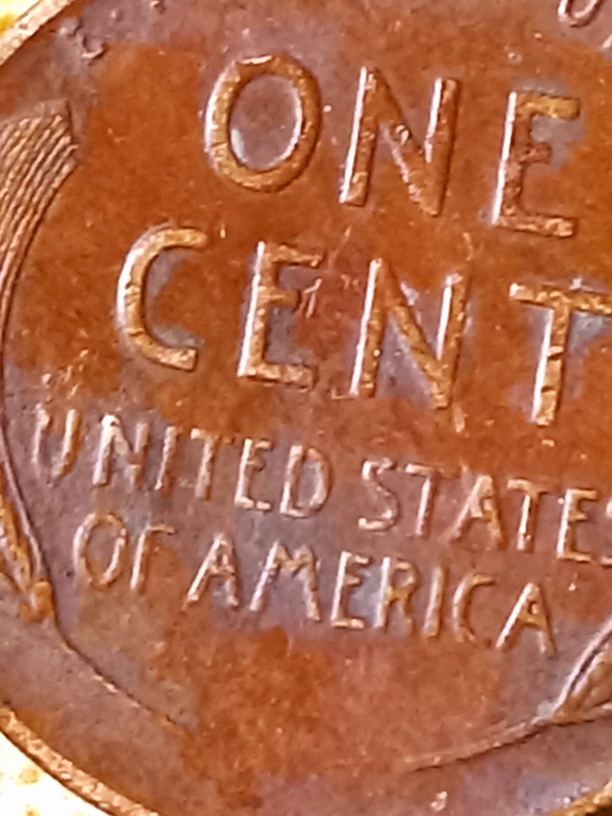 Picture 6 of 14
