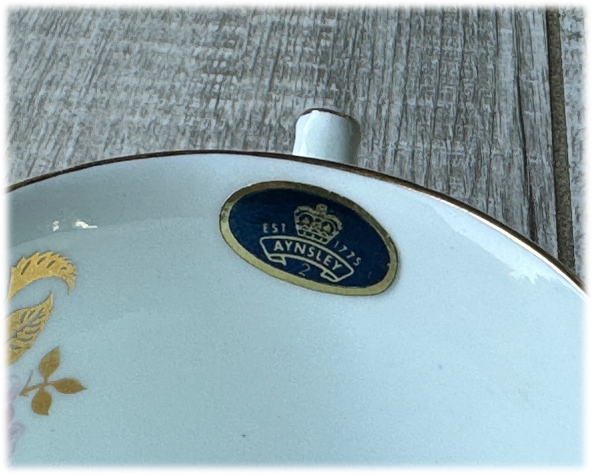 Aynsley Crocus Light Blue Rose Cup and Saucer 27189 Bone