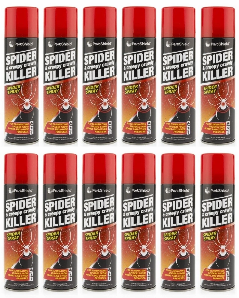 Spider spray cheap for house