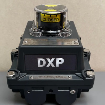 TopWorx DXP-L21BNEB Endschalterkasten