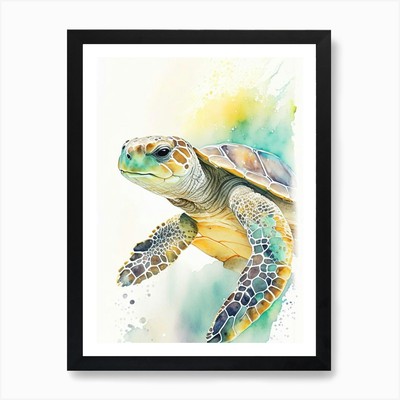 Unechte Karettschildkröte (Caretta Care gerahmtes Wandbild Poster Leinwanddruck Bild