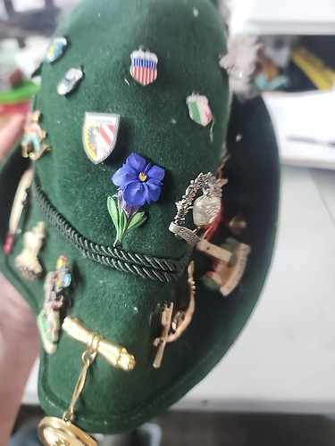 60s VINTAGE GERMAN TRAVEL SOUVENIR HAT PINS 23 LOT WITH HAT - Picture 6 of 12