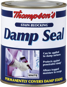 Stain Block Paint For Covering Damp And Mould Patches On Walls And