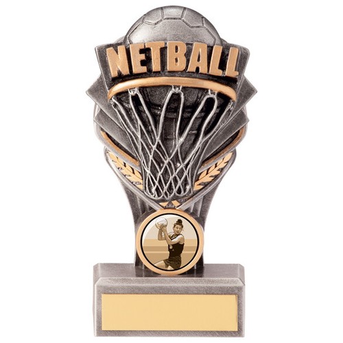 Netball Award Falcon Hoop & Ball Silver Team Trophy - FREE Engraving PA20223 - Picture 13 of 18