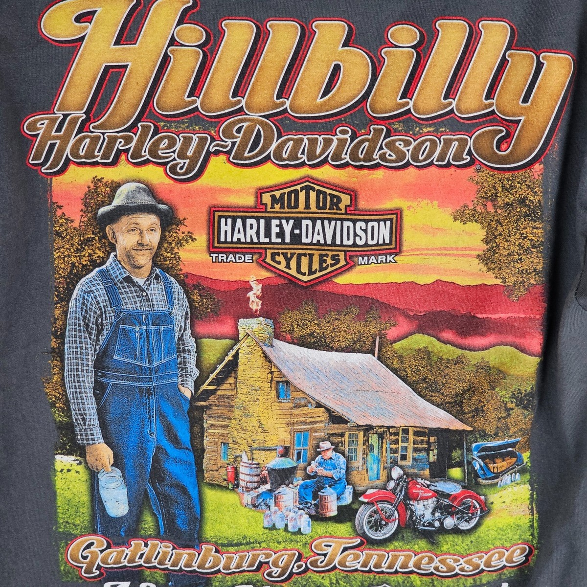 HARLEY DAVIDSON HILLBILLY ロンT Hillbilly Harley-Davidson Long Sleeve T-shirt Size Medium
