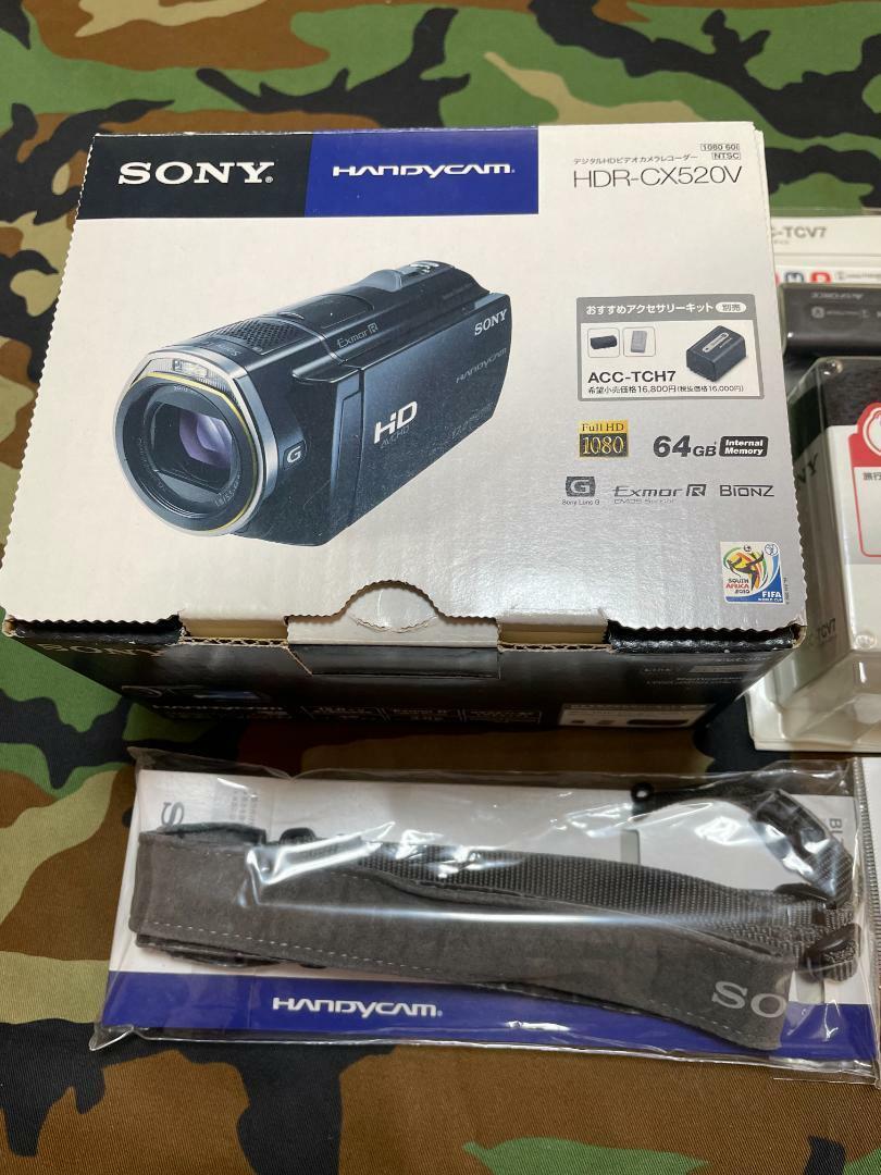 SONY HDR-CX520V