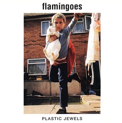 Flamingoes レコード Plastic Jewels 71oYWtWxHIL._UF1000,1000_QL80_.jpg