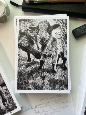 Icelandic Sheep Print 5x7 -  First Time Mum  Charcoal drawing - Sagehorne-manor