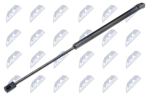Heckklappen DäMpfer Gasfeder Kofferraum NTY AE-RE-025 FüR KZ0 Megane Renault 3-image
