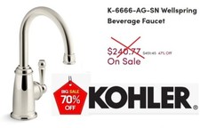 KOHLER Wellspring Traditional Beverage Faucet Polished Nickel K-6666-AG-SN