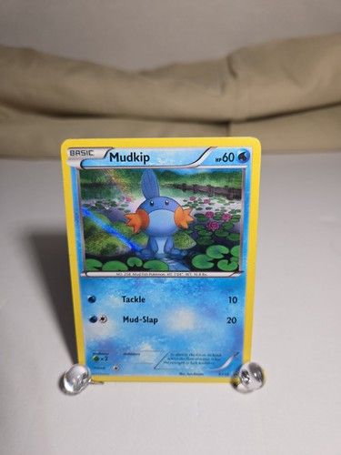 Mudkip XY38 Holo HP Promo Card
