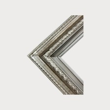 12 X 18 In Stock-Classic compo ornate wood frame, BRUSHED SILVER finish, wood.