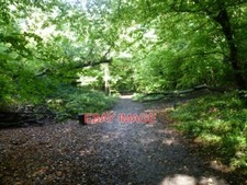 PHOTO  TRACKBED OF THE OLD RAILWAY THROUGH SYDENHAM HILL WOODS THE LONDON CHATHA