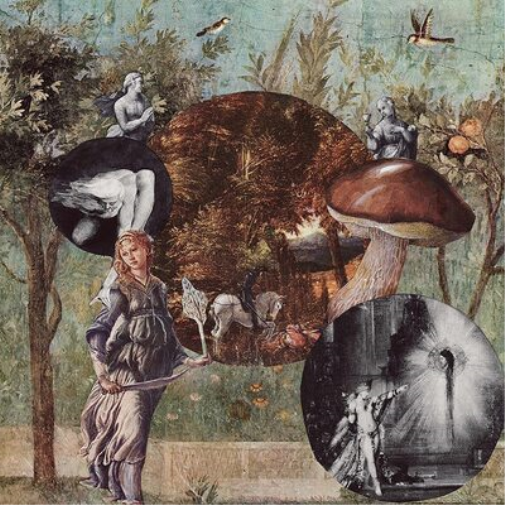 Native Harrow Old Kind of Magic (CD) Album