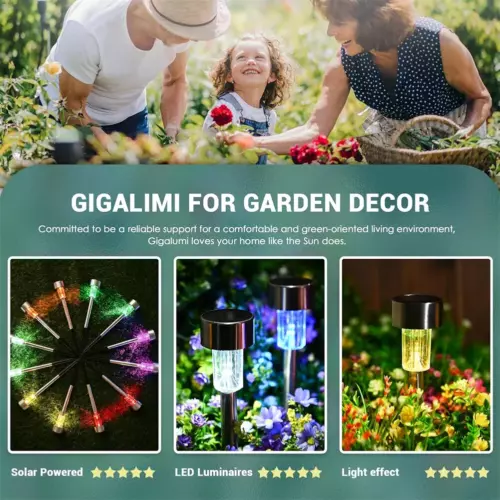 12 Pack Solar Power LED Stake Lights Patio Outdoor Garden Lawn Path Lamp Light - Bild 4 von 13
