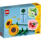 Foto 3 di 3