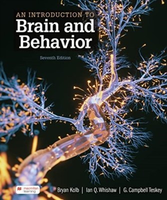 MIE INTRO BRAIN BEHAVIOR 7E by KOLB BRYAN Paperback Self Help Business