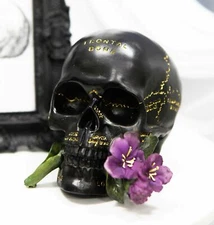Skull with Flower Resin Figurine Home Decor 6.75" Long