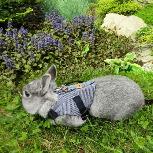Multipurpose Rabbits Vest Gray Plaid Rabbit Harness and Leash Collar Straps - Afbeelding 1 van 11