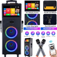 4000W Karaoke Machine w/ DisplayScreen Dual 10  Subwoofer Speaker 2 Wireless Mic