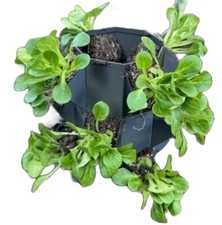 1/2/3 Tier Stackable Grow Tower Compact Vertical Planter – DIY Garden System