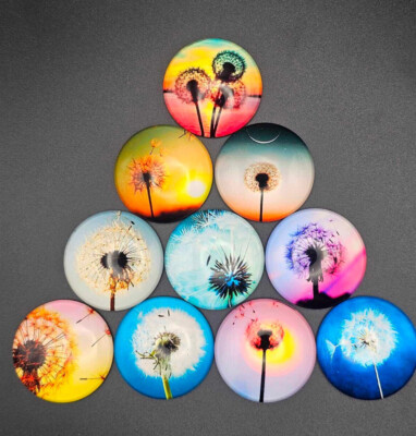 Glas Cabochon Pusteblume 10 mm 12 mm 14 mm 16 mm 18 mm 20 mm  25 mm 30 mm #89