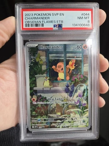 PSA 8 2023 POKEMON SVP EN-SV BLACK STAR PROMO #044 CHARMANDER  NM-MT POKÉMON