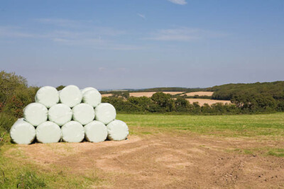 Photo 6x4 Looking across fields towards Rushcroft Copse Five Houses From  c2007