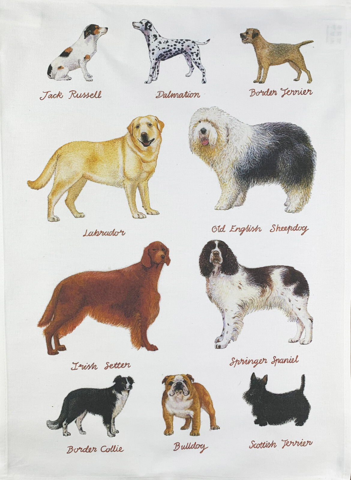 Classic Dog Breeds Tea Towel , machine washable, cotton, dog lover gift