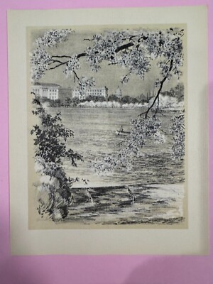 J. B. Himmelheber 1931 Our Washington, ''The Japanese Cherry Blossoms'' Art Print