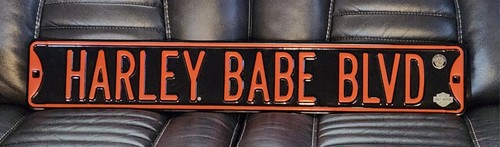 Harley Babe Blvd Ande Rooney 10902 Street Sign 36" x 6" Metal Embossed 