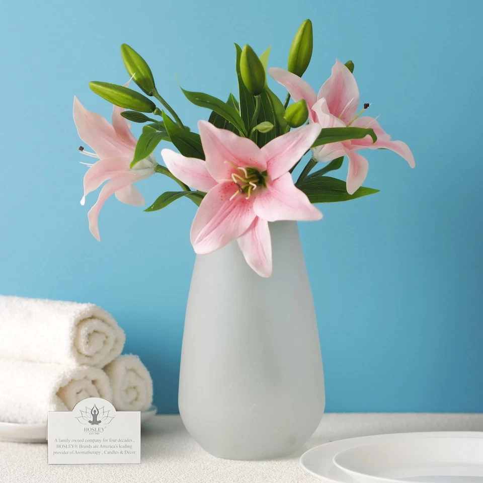 Jarrón de vidrio esmerilado Hosley de 8 pulgadas de alto perfecto para cocina, dormitorio, sala de estar... Foto 2 de 4