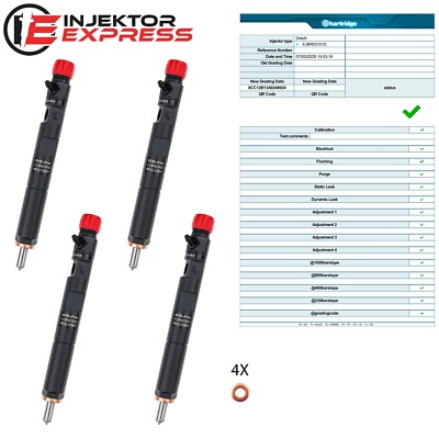 4x EJBR03101D Einspritzdüse Injektor Renault Nissan 1.5 dci 28232251 EJBR02701Z