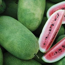 Charleston Grey Watermelon Seeds | Heirloom / Non-GMO | Free Shipping | 1047