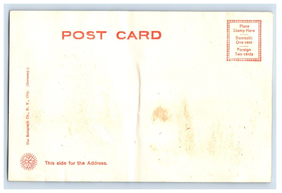 C. 1905 Where The Flowers Bloom In March Columbia, S. C. Postcard F132E