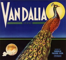 ORIGINAL C1940S ORANGE CRATE LABEL VANDALIA PEACOCK PORTERVILLE VINTAGE BIRD L5