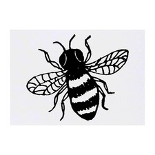 'Honey Bee' Temporary Tattoos / Transfers TO00027914 
