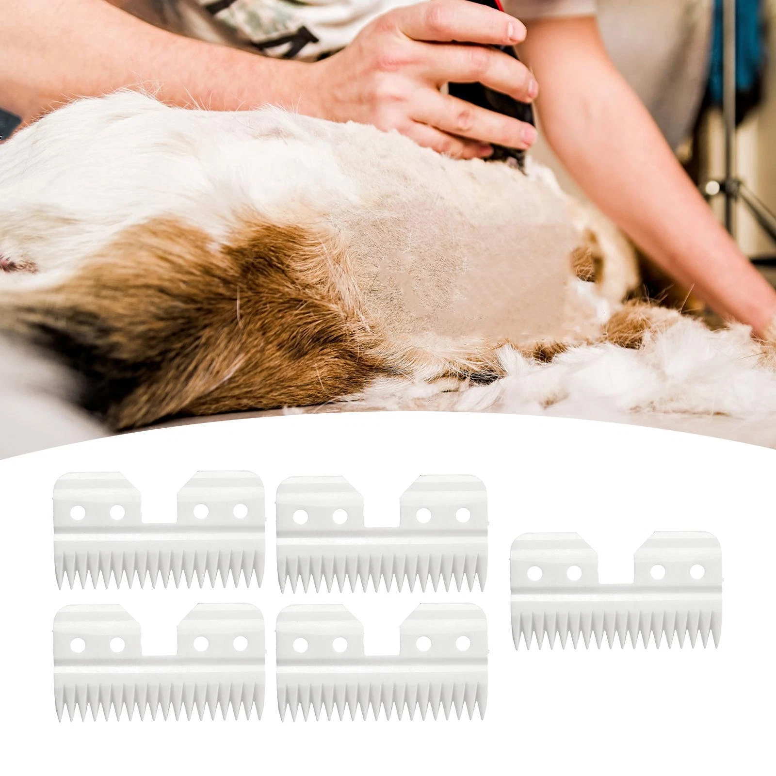 5Pcs Pet Dog Trimmer Clipper Tool 18 Tooth Replacements for A5 Grooming Cutter
