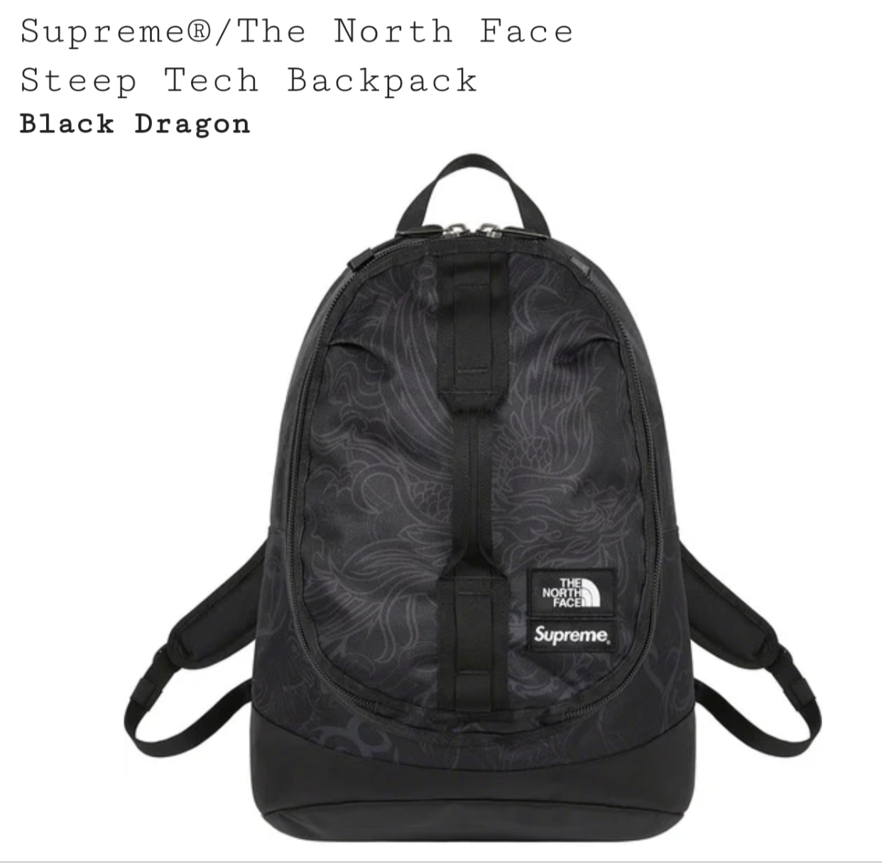 Supreme x The North Face Steep Tech Backpack, Black Dragon