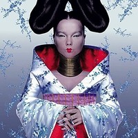 Bjork - Homogenic - Vinyl Record - G3Z