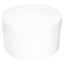 3 Pcs Foam Disc Flower Arranging Supply Polystyrene Shapes Crafts