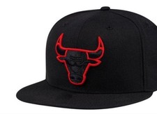 Chicago Bulls Collecting and Fan Guide 8